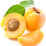 описание сортов абрикоса